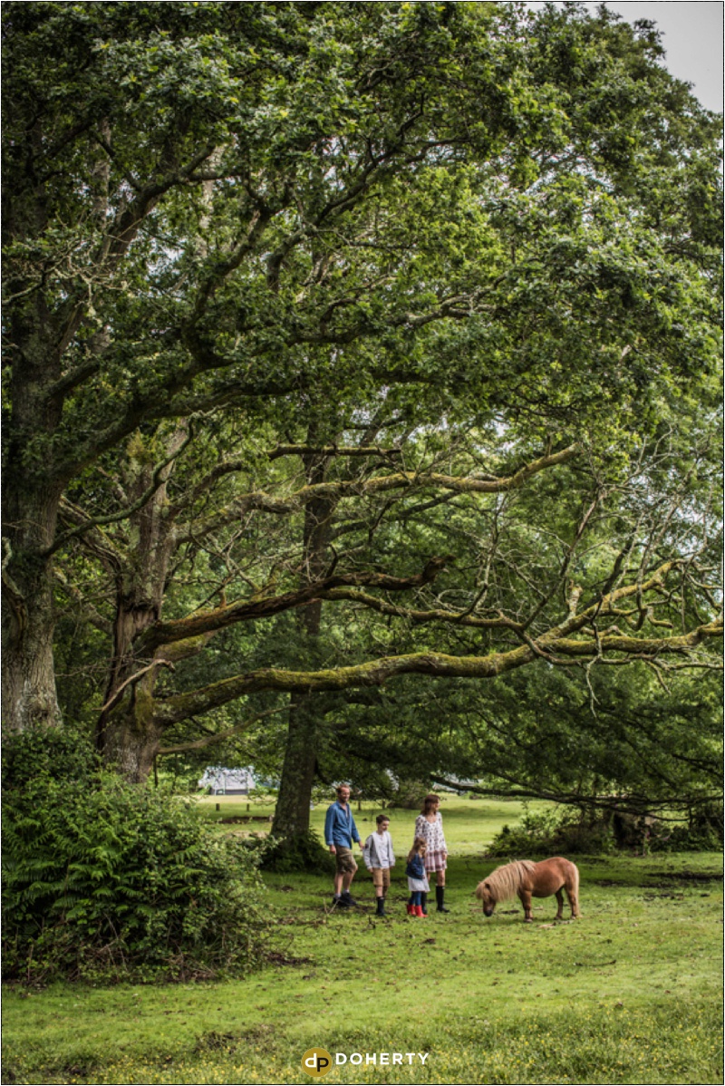 Commercial Photography - New Forest family with shetland pony